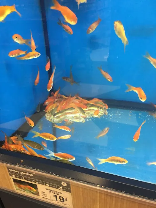Petco Picture 4