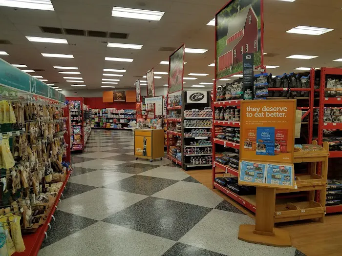 Petco Picture 3