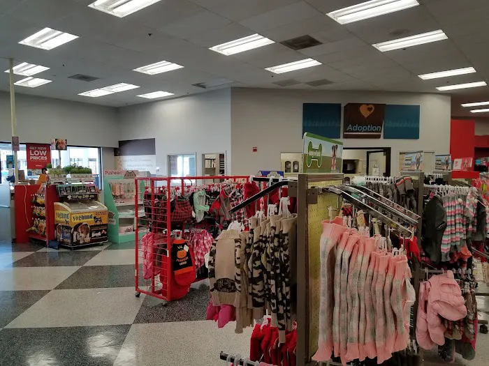 Petco Picture 7