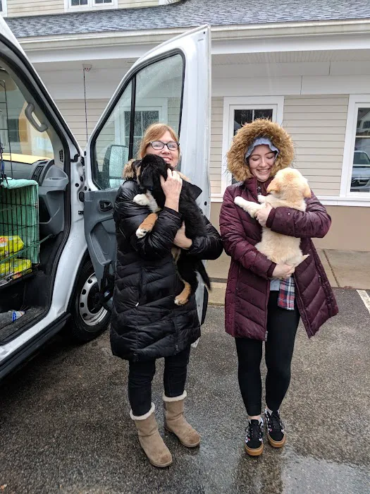 Four Paws Veterinary Services, PC Picture 9