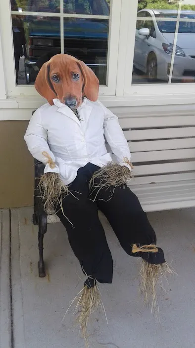 Four Paws Veterinary Services, PC Picture 7