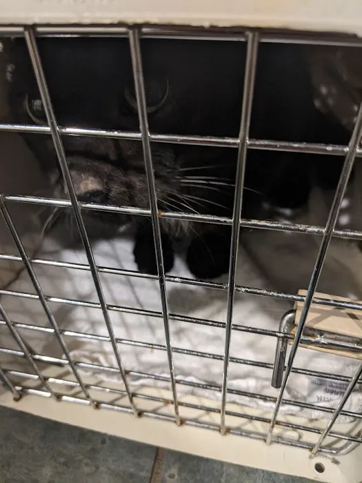 Four Paws Veterinary Services, PC Picture 1