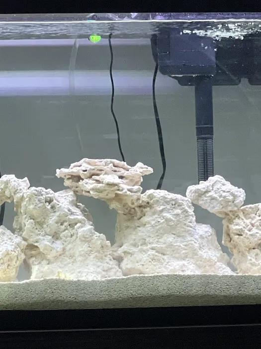 AquaCave.com Picture 2