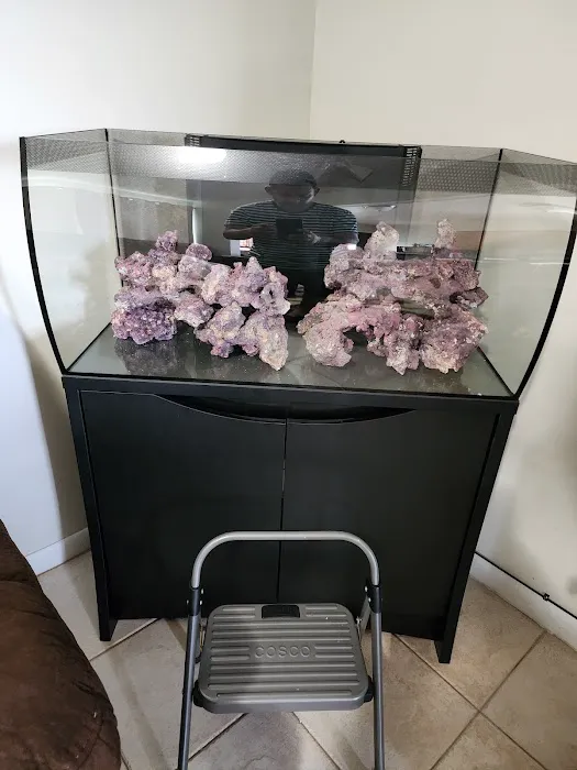 AquaCave.com Picture 4