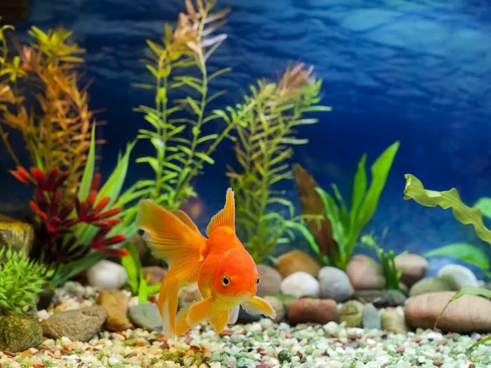 AquaCave.com Picture 8