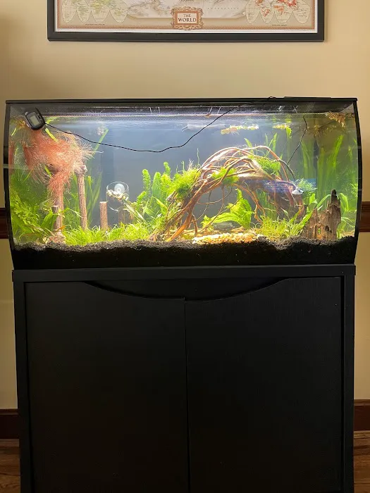 AquaCave.com Picture 5