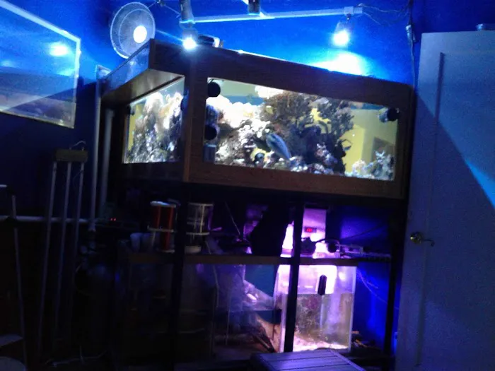 AquaCave.com Picture 6