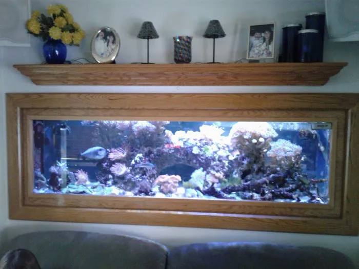 AquaCave.com Picture 7