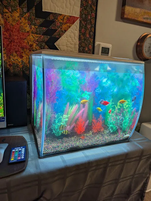 AquaCave.com Picture 9