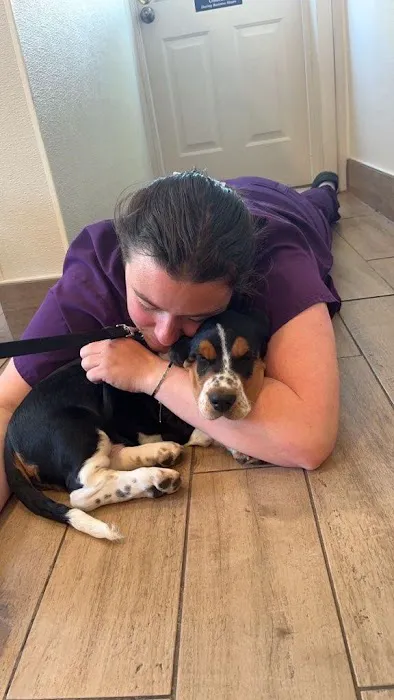 Northeastern Veterinary Care Center Picture 8