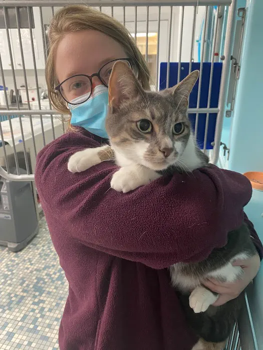 Northeastern Veterinary Care Center Picture 2
