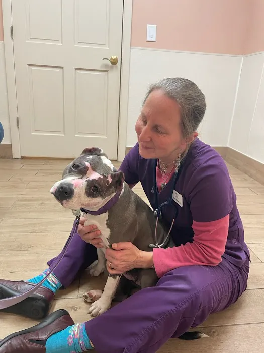 Northeastern Veterinary Care Center Picture 7