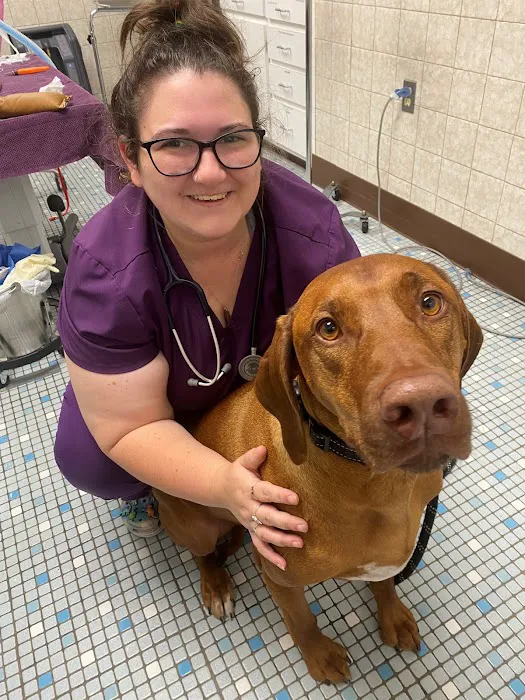 Northeastern Veterinary Care Center Picture 3