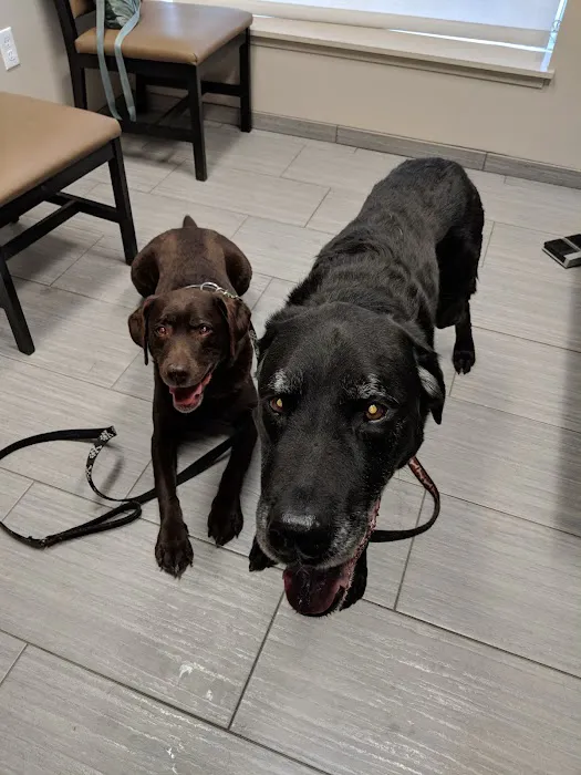 VCA Shaker Road Animal Hospital Picture 2