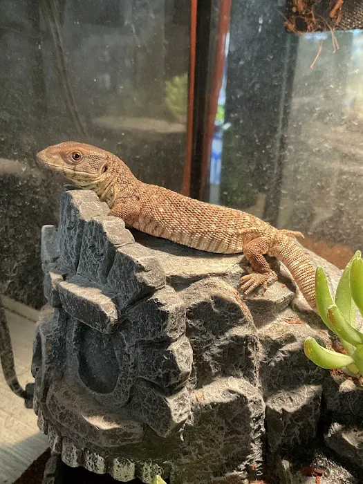 3 Rivers Pets Picture 7