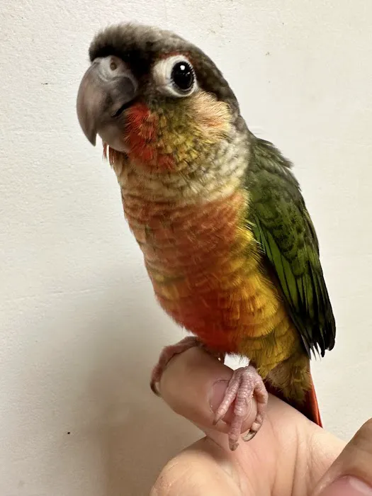 3 Rivers Pets Picture 3