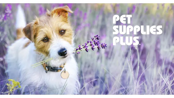 Pet Supplies Plus La Porte Picture 5