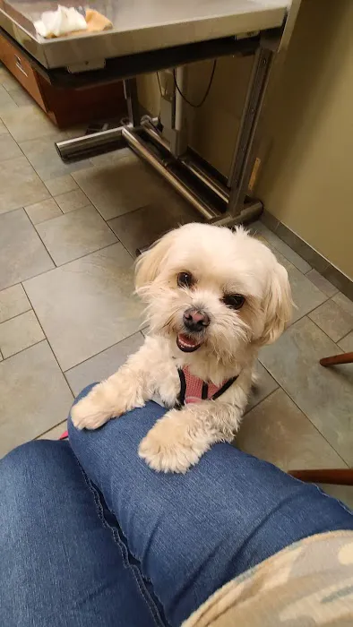 River Road Veterinary Center Picture 2