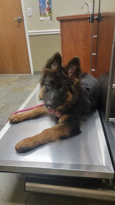 River Road Veterinary Center Picture 1