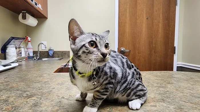 River Road Veterinary Center Picture 6