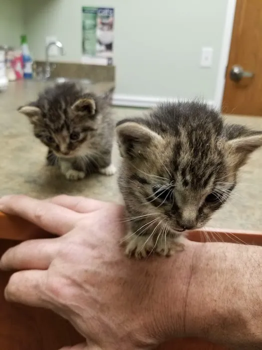 River Road Veterinary Center Picture 3