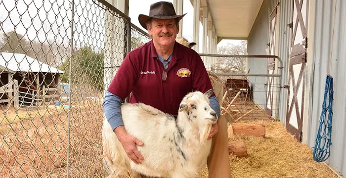 Stafford Veterinary Center Picture 3