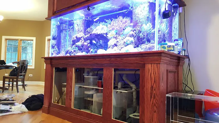 Sho Tank Aquariums Picture 6
