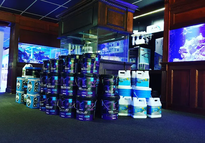 Sho Tank Aquariums Picture 2