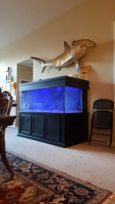 Sho Tank Aquariums Picture 10