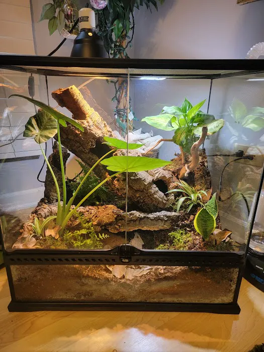 BioDome Picture 2