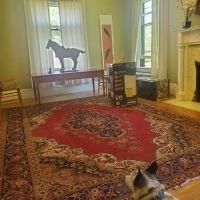 Sanctuary Animal Clinic ico