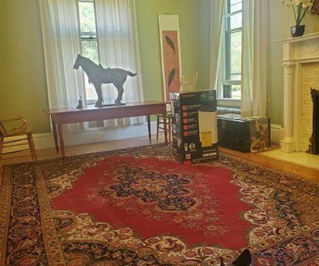 Sanctuary Animal Clinic
