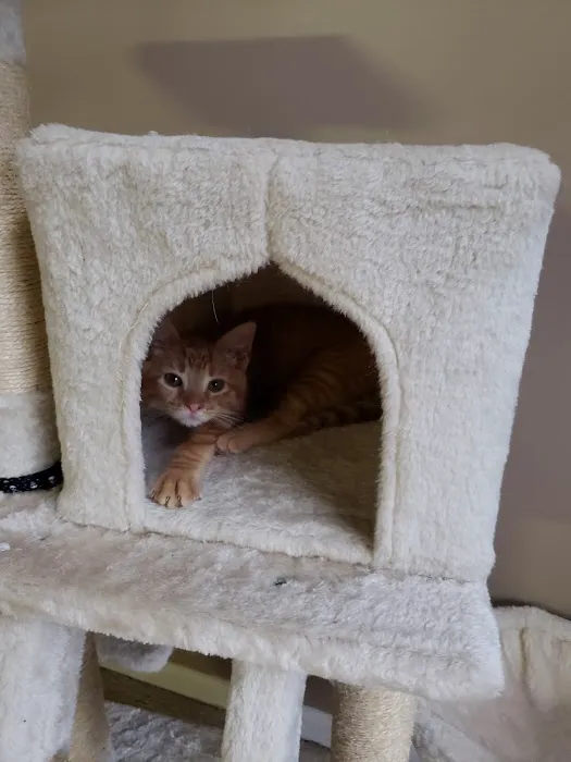 Petco Picture 2