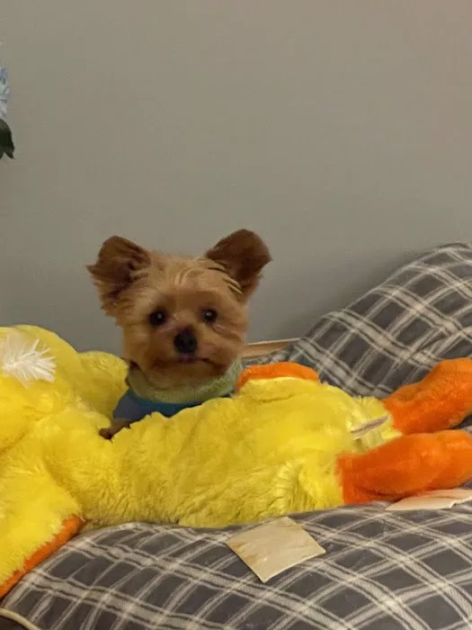 Petco Picture 4