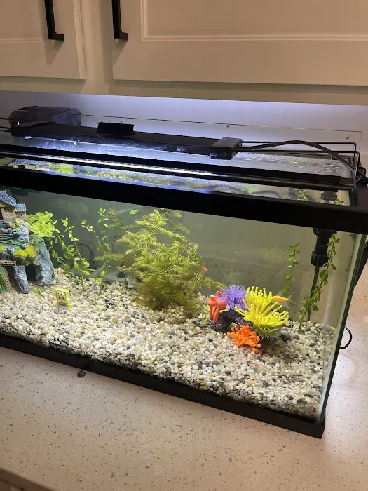 Petco Picture 9