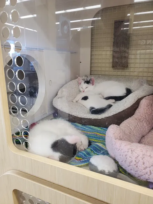 Petco Picture 10