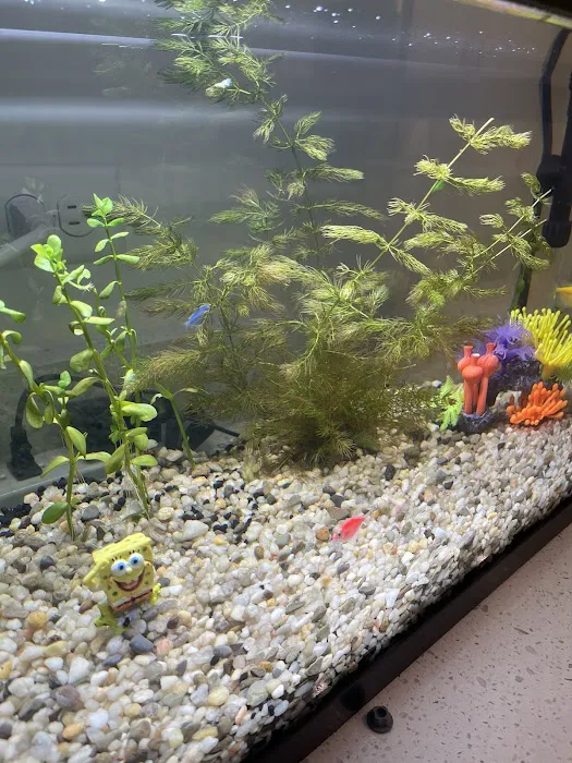 Petco Picture 8