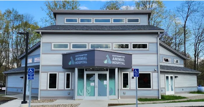 Easthampton Animal Hospital Picture 10