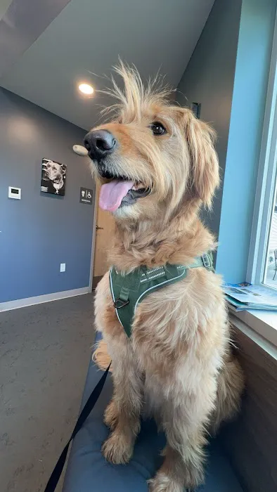 Easthampton Animal Hospital Picture 4