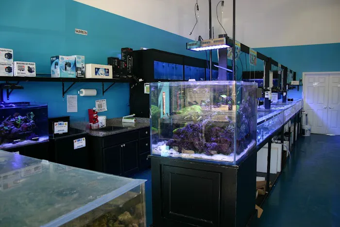 Exotic Aquatics Picture 7