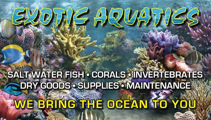 Exotic Aquatics Picture 9