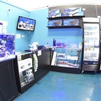 Exotic Aquatics ico