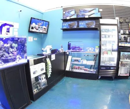 Exotic Aquatics