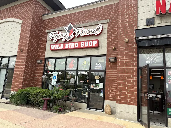 Flying Friends Wild Bird Shop Picture 5