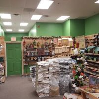 Flying Friends Wild Bird Shop ico