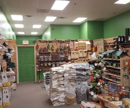 Flying Friends Wild Bird Shop