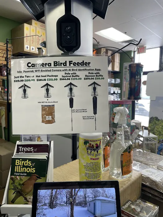 Flying Friends Wild Bird Shop Picture 4