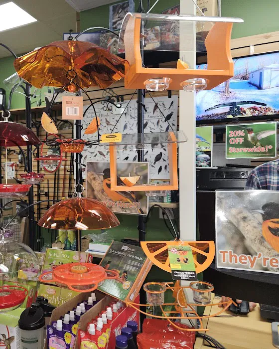 Flying Friends Wild Bird Shop Picture 7