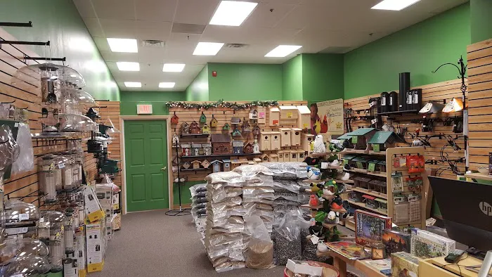 Flying Friends Wild Bird Shop Picture 2
