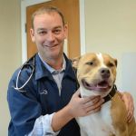 East Springfield Veterinary Hospital